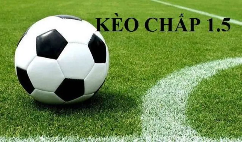 keo-chap-1.5-trai